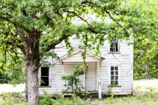 Weathered, vacant wood-frame house half hidden behind an overgrown tree and tall grass